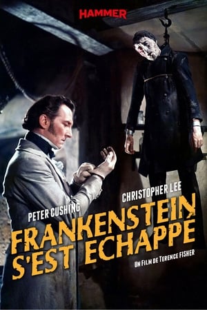 Poster Frankenstein s'est échappé ! 1957