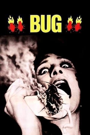 Poster Bug 1975
