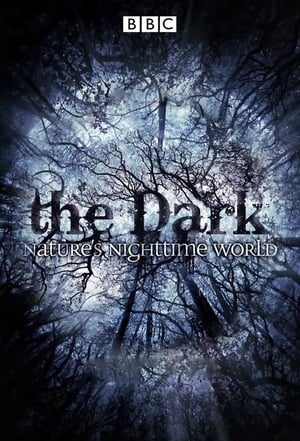 Poster The Dark: Nature's Nighttime World 2012
