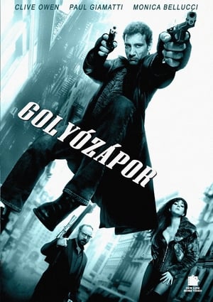 Poster Golyózápor 2007