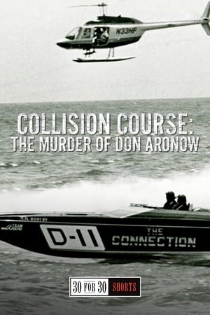 Poster Collision Course: The Murder of Don Aronow 2013