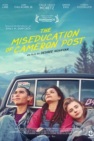 Poster The Miseducation of Cameron Post 2018