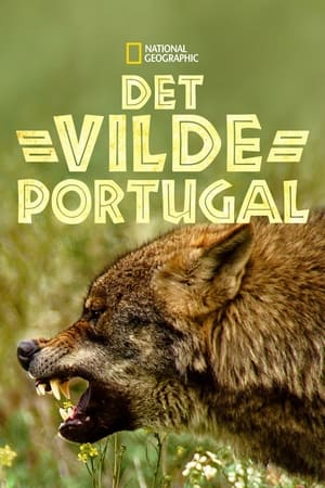 Image Wild Portugal