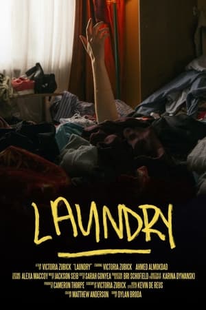 Poster Laundry 