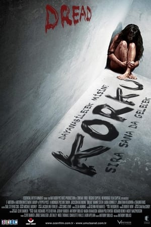 Poster Korku 2009