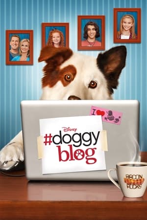 Poster #doggyblog Saison 3 2014