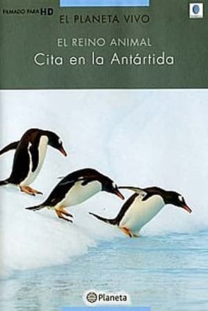Image Cita en la Antártida