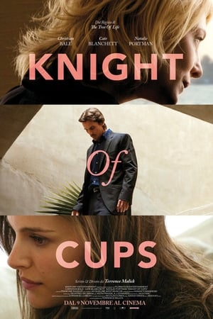 Image Knight of Cups