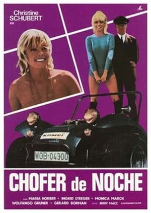Poster Chofer de noche 1971