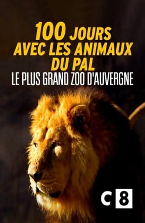 Poster 100 jours avec les animaux du Pal : le plus grand zoo d'Auvergne 2020