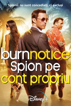 Poster Spion pe cont propriu 2007