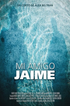 Poster Mi amigo Jaime 2013
