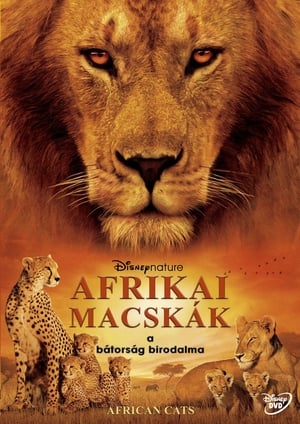 Image Afrikai macskák - A bátorság birodalma