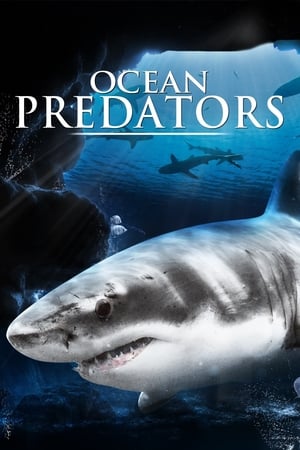 Poster Ocean Predators 2013
