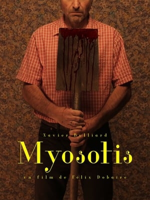 Poster Myosotis 2021