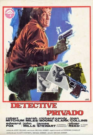 Image Detective privado