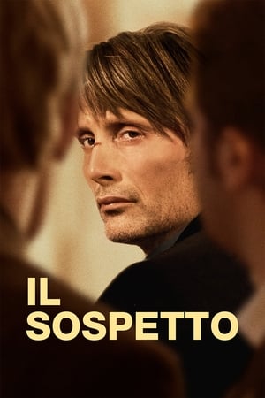 Poster Il sospetto 2012