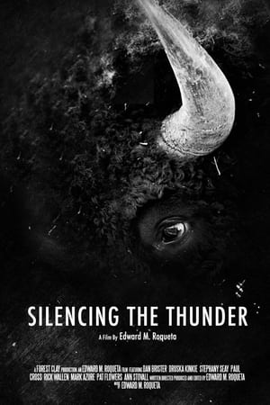 Image Silencing the Thunder