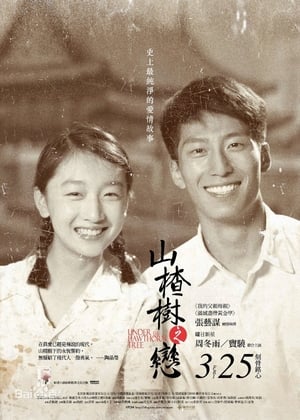 Poster Shan Zha Shu Zhi Lian 2010