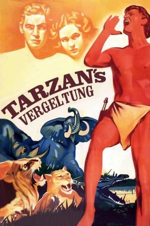 Image Tarzans Vergeltung