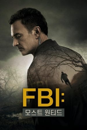 Poster FBI: 모스트 원티드 2020