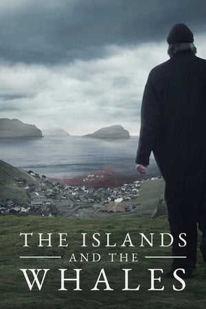 Poster The Islands and the Whales 2016