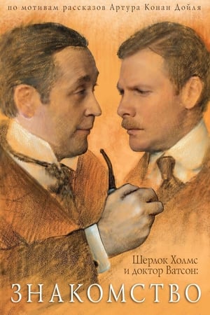 Poster Шерлок Холмс и Доктор Ватсон: Знакомство 1979