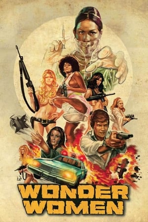 Poster Wonder Women 1973