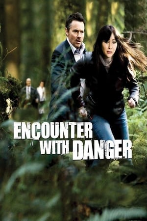 Poster Encounter with Danger 2010