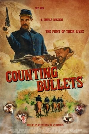 Image Counting Bullets