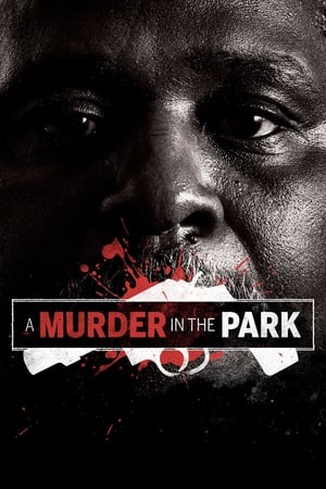 Image A Murder in the Park