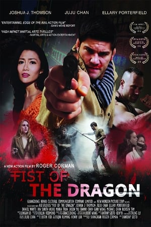 Image Fist of the Dragon
