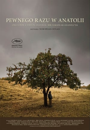 Poster Pewnego razu w Anatolii 2011
