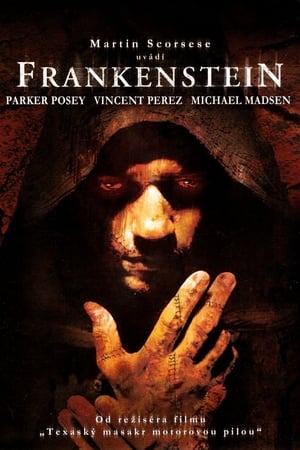 Poster Frankenstein 2004