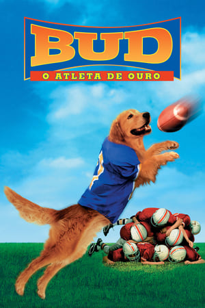 Image Air Bud: Golden Receiver