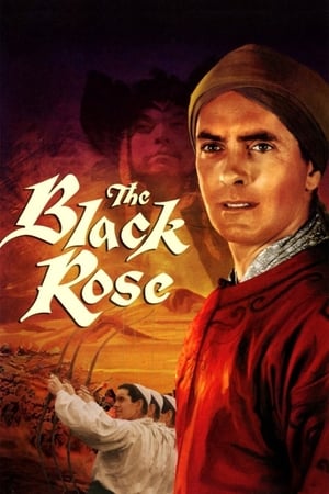 Poster The Black Rose 1950