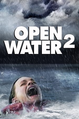 Poster Open Water 2 2006