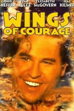 Poster Guillaumet, les ailes du courage 1995