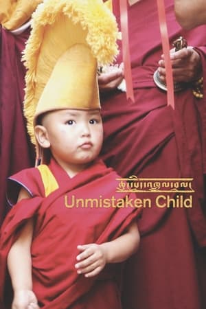 Poster Unmistaken Child 2009