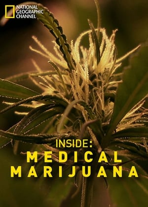Poster Pohled zevnitř: Léčivé vlastnosti marihuany 2011