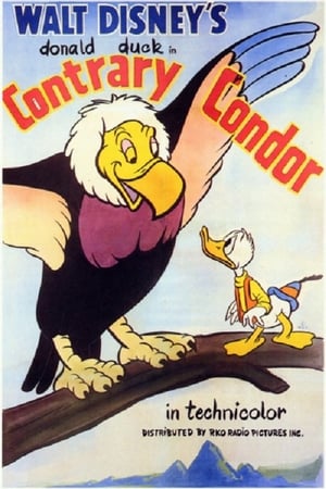 Poster Der falsche Condor 1944