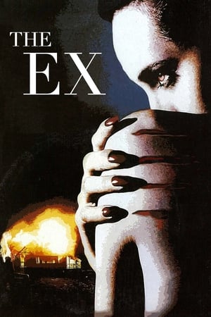 Poster The Ex 1996