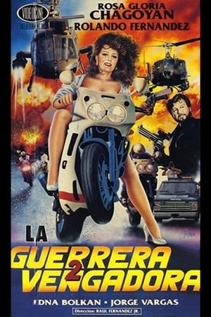 Poster La guerrera vengadora 2 1991