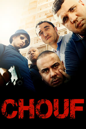 Poster Chouf 2016