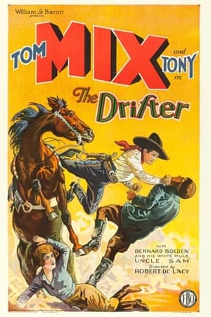 Poster The Drifter 1929