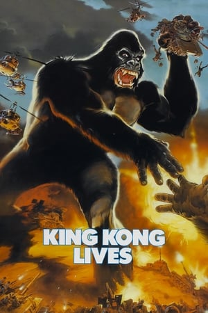 Image King Kong lever