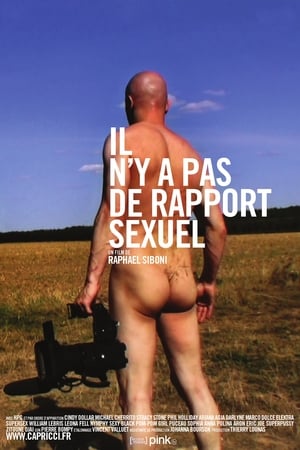 Poster Il n'y a pas de rapport sexuel 2011