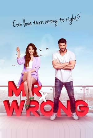 Poster Mr. Wrong 2020