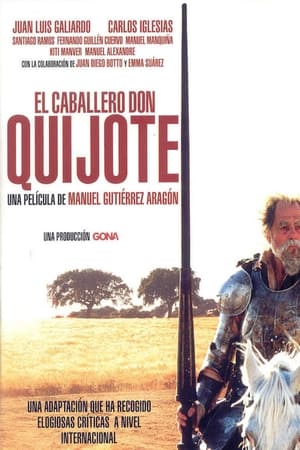 Poster El caballero Don Quijote 2002