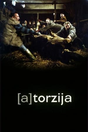 Poster (A)Torsion 2003